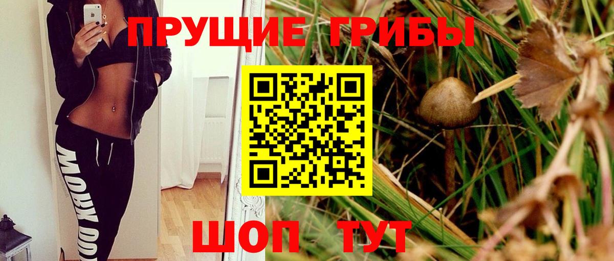 Галлюциногенные грибы GOLDEN TEACHER Тара